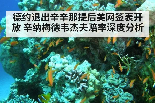 德约退出辛辛那提后美网签表开放 辛纳梅德韦杰夫赔率深度分析
